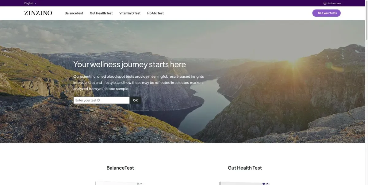 zinzinotest.com home page with the test ID field